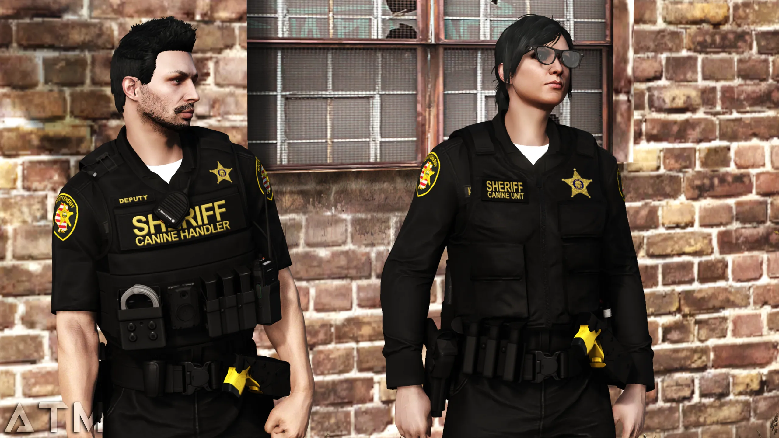 M & F K9 Vest